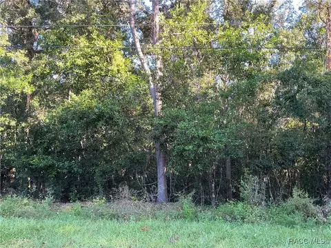 883 W Keller St, Hernando, FL 34442