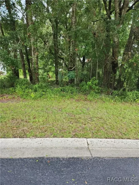7892 W Tumblebrook Dr, Dunnellon, FL 34433