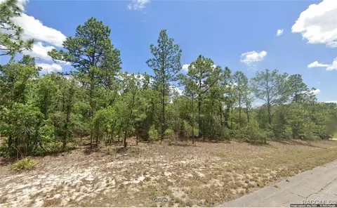 9884 N Lathyrus Ter, Dunnellon, FL 34433