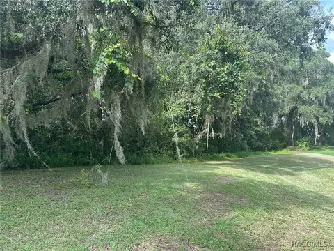 30413061 E Berwick Ct, Hernando, FL 34442 photo 7
