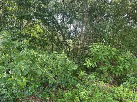 30413061 E Berwick Ct, Hernando, FL 34442 photo 8