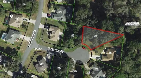 30413061 E Berwick Ct, Hernando, FL 34442 photo 12