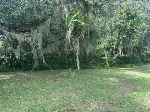 30413061 E Berwick Ct, Hernando, FL 34442 photo 6
