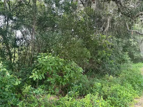 30413061 E Berwick Ct, Hernando, FL 34442 photo 9