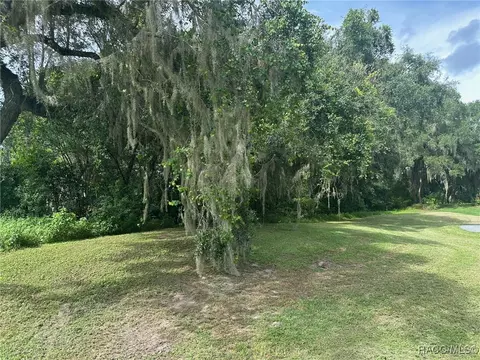 30413061 E Berwick Ct, Hernando, FL 34442 photo 5