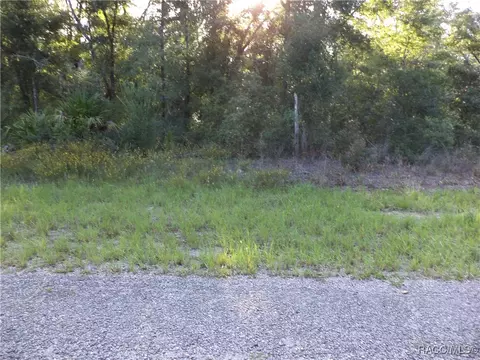 6402 N Matheson Dr, Citrus Springs, FL 34434