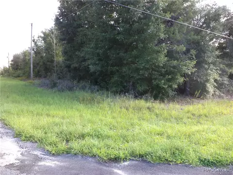 6424 N Matheson Dr, Citrus Springs, FL 34434