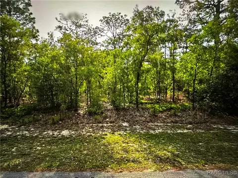 5105 N Princewood Dr, Beverly Hills, FL 34465