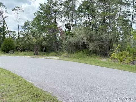0 Bahama Swallow Ave, Weeki Wachee, FL 34613