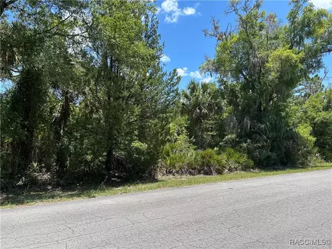 10257 N Coco Plumosa Dr, Crystal River, FL 34428