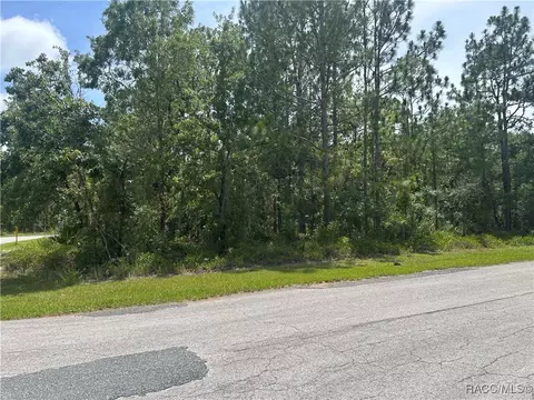 1 Gloxinias Ct, Homosassa, FL 34446