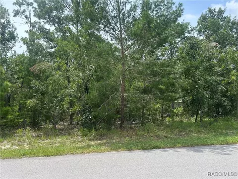 1 Cosmos Ct E, Homosassa, FL 34446