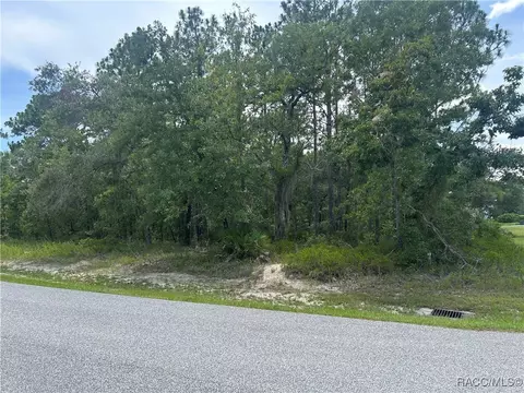165 Daisy St, Homosassa, FL 34446