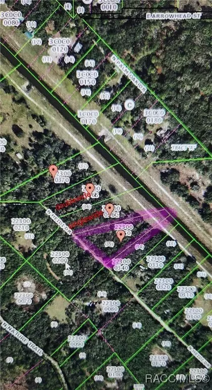 6785 N Heidi Dr, Hernando, FL 34442 photo 2