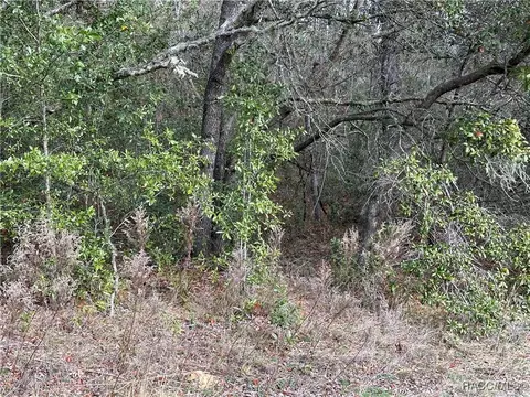 4053 W Firewood Loop, Dunnellon, FL 34433