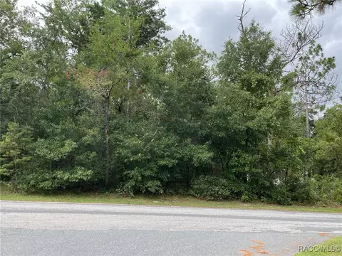 1414 E Tradewind Dr, Hernando, FL 34442 photo 4