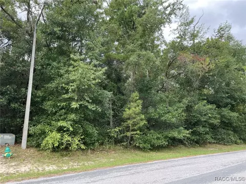 1414 E Tradewind Dr, Hernando, FL 34442 photo 5