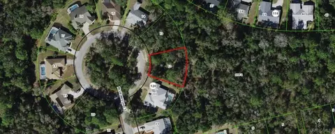 7 Blue Beech Ct, Homosassa, FL 34446