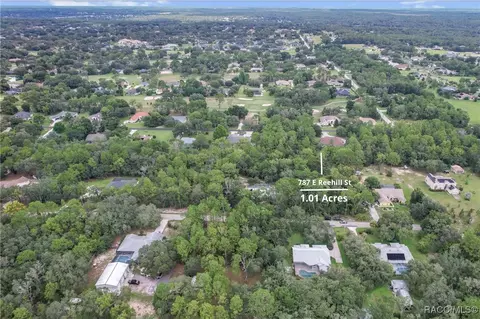 787 E Reehill St, Lecanto, FL 34461 photo 4