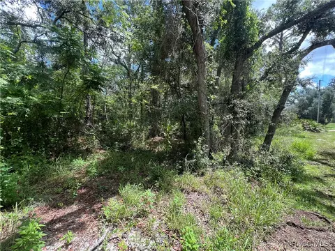 787 E Reehill St, Lecanto, FL 34461 photo 10