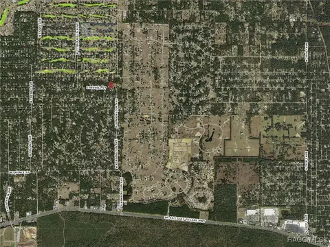 787 E Reehill St, Lecanto, FL 34461 photo 9
