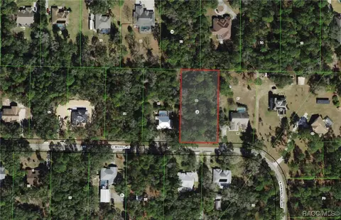 787 E Reehill St, Lecanto, FL 34461 photo 5