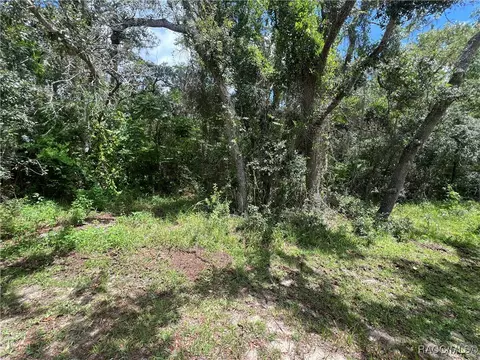 787 E Reehill St, Lecanto, FL 34461 photo 7