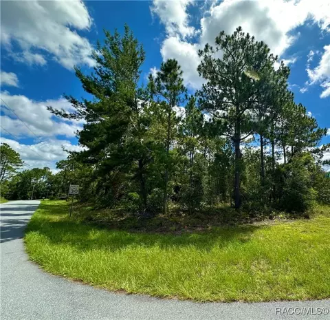 7575 N Lyric Dr, Citrus Springs, FL 34433