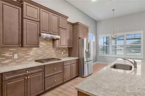 1343 W Greenmeadow Path, Hernando, FL 34442 photo 20