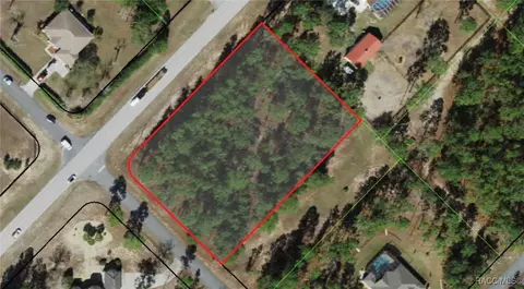 5543 W Buckskin Dr, Beverly Hills, FL 34465