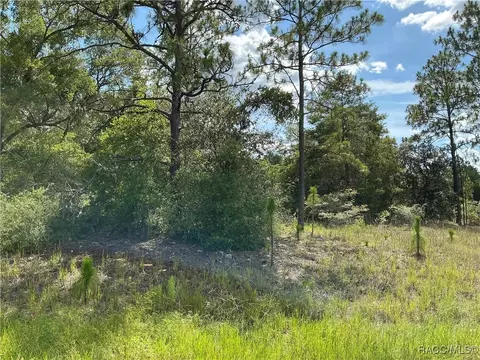 11774 N Shenandoah Way, Citrus Springs, FL 34433