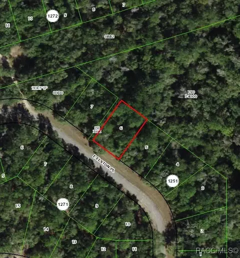 863 Elston Pl, Dunnellon, FL 34434