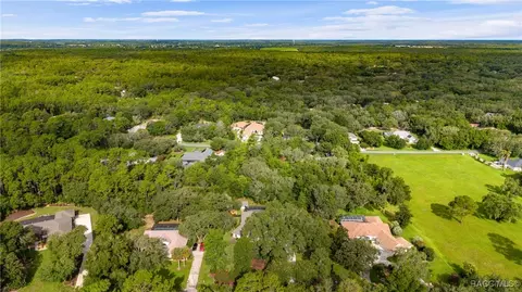 View/Area - 4022 N Baywood Dr, Hernando, FL 34442 photo 4 of 5
