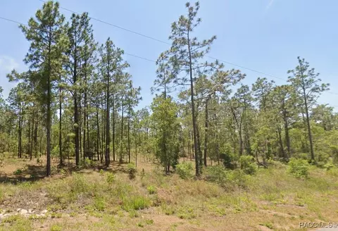 0 NW Water Oak Ave, Dunnellon, FL 34431