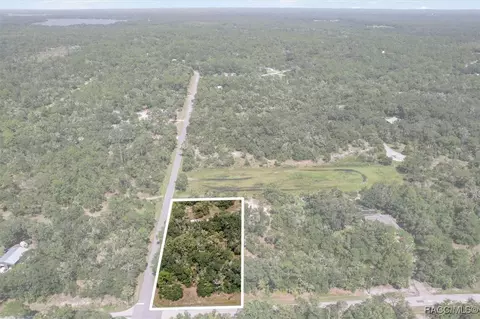 9597 N Alder Ave, Crystal River, FL 34428