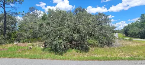 11250 N Ely Pt, Citrus Springs, FL 34433