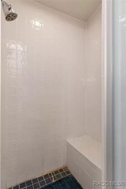 Bath - 6385 N Shorewood Dr, Hernando, FL 34442 photo 3 of 5