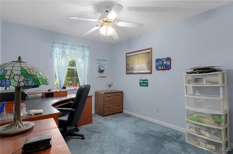 Other - 6385 N Shorewood Dr, Hernando, FL 34442 photo 5 of 12