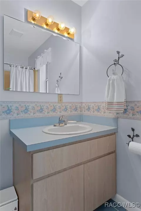 Bath - 6385 N Shorewood Dr, Hernando, FL 34442 photo 4 of 5