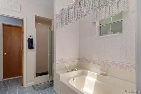 Bath - 6385 N Shorewood Dr, Hernando, FL 34442 photo 2 of 5