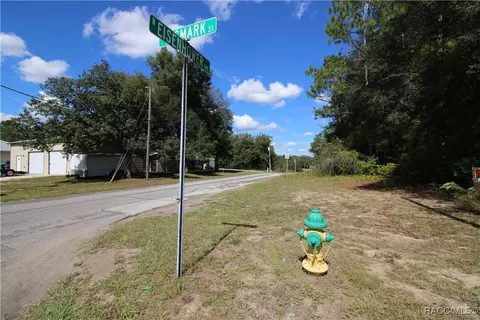 1011 E Bismark St, Hernando, FL 34442 photo 3