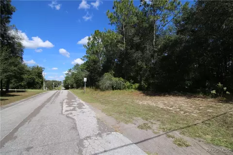 1011 E Bismark St, Hernando, FL 34442 photo 7