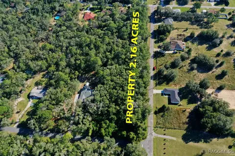 1011 E Bismark St, Hernando, FL 34442 photo 6