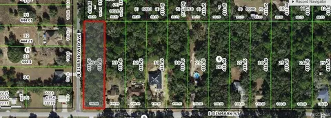 1011 E Bismark St, Hernando, FL 34442 photo 2