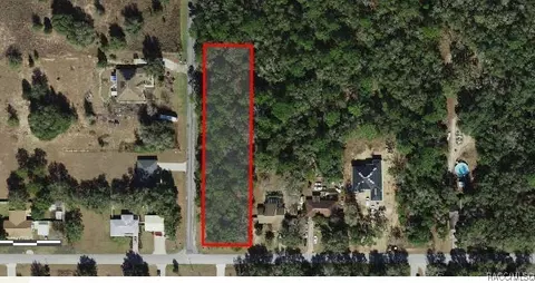 1011 E Bismark St, Hernando, FL 34442 photo 4