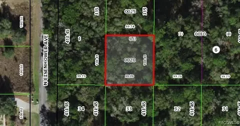 1012 E 1030 E Mckinley St, Hernando, FL 34442 photo 7