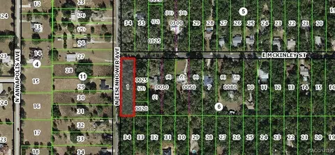 1012 E 1030 E Mckinley St, Hernando, FL 34442 photo 4