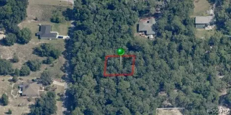 1012 E 1030 E Mckinley St, Hernando, FL 34442 photo 6