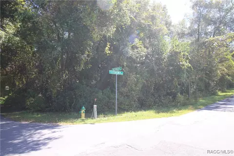 1012 E 1030 E Mckinley St, Hernando, FL 34442 photo 2