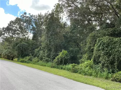 58 N Bauer Rd, Lecanto, FL 34461 photo 2